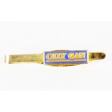 Pince à cravate dorée OLLY GAN